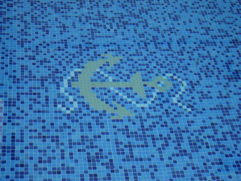 fotos del la piscina del admirane 768x576